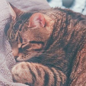 Meet your Posher, Zoezoe